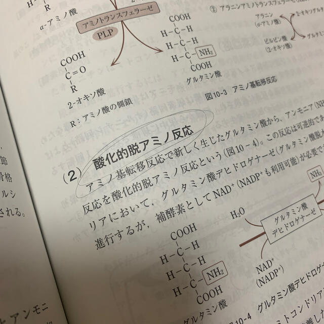 ヒトの基礎生化学 エンタメ/ホビーの本(健康/医学)の商品写真