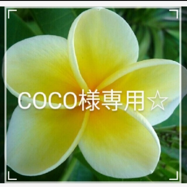 驚きの値段で】 Coco Jasmin♡様 ecousarecycling.com