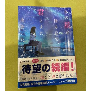 あの星が降る丘で、君とまた出会いたい。(文学/小説)