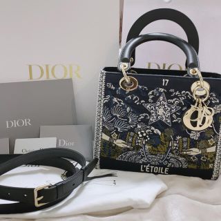 2ページ目 - ディオール(Christian Dior) 限定 ハンドバッグ ...