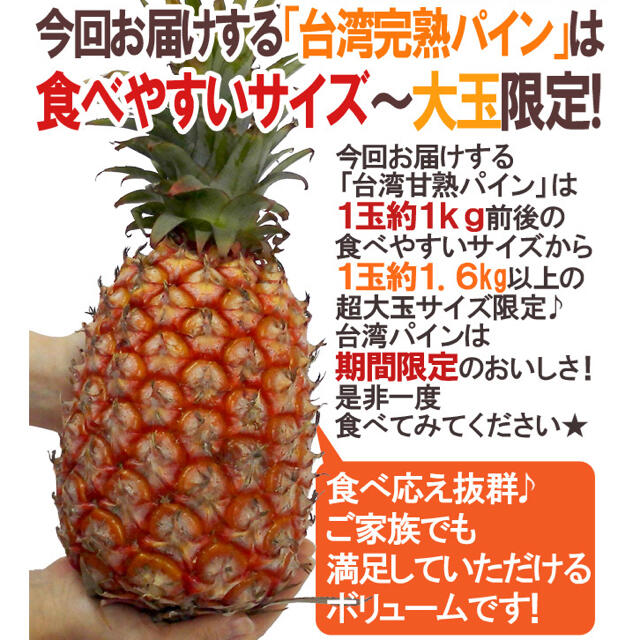 【4/10発送】台湾パイナップル　樹上紅　10kg