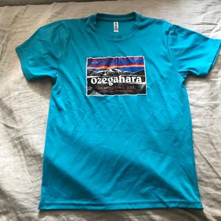 パタゴニア(patagonia)の尾瀬ヶ原Tシャツ(Tシャツ(半袖/袖なし))