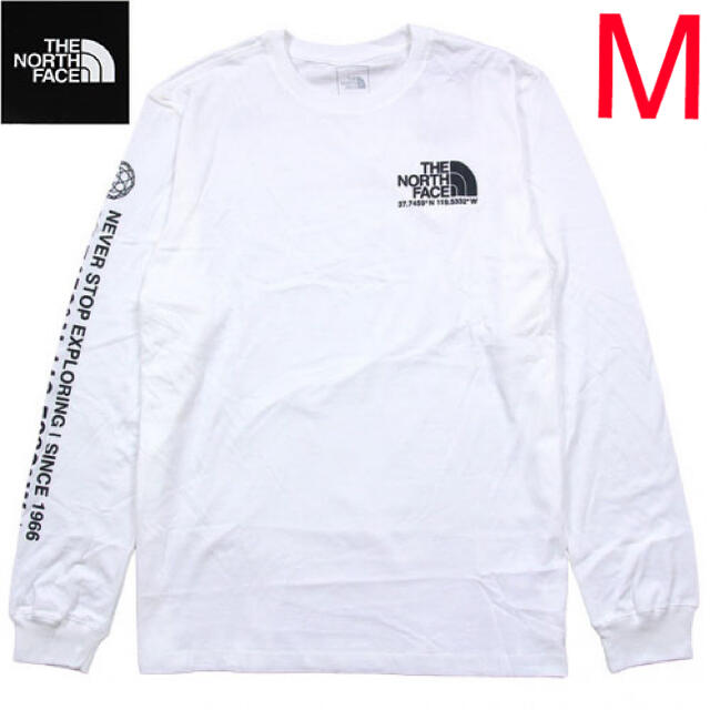 THE NORTH FACE(ザノースフェイス)のthe north face 長袖　ノースフェイス　ロンt 海外限定 メンズのトップス(Tシャツ/カットソー(七分/長袖))の商品写真