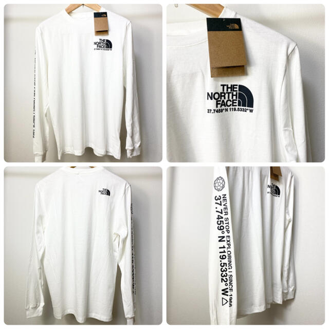 THE NORTH FACE(ザノースフェイス)のthe north face 長袖　ノースフェイス　ロンt 海外限定 メンズのトップス(Tシャツ/カットソー(七分/長袖))の商品写真