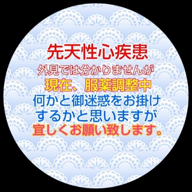 漣様専用バッチ2個セット その他のその他(その他)の商品写真