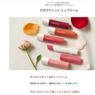 イニスフリー(Innisfree)の☆新品未使用未開封☆ イニスフリー　　リップバーム#3(リップケア/リップクリーム)