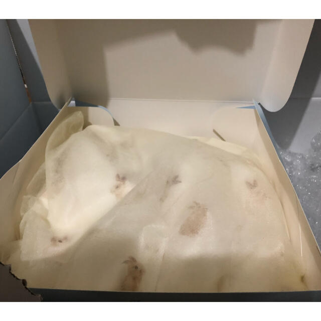 gelato pique(ジェラートピケ)のラビットモチーフショートパンツ レディースのルームウェア/パジャマ(ルームウェア)の商品写真