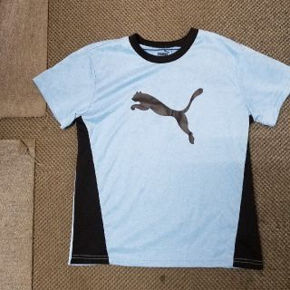 プーマ(PUMA)のPUMA☆Tシャツ☆150センチ(Tシャツ/カットソー)