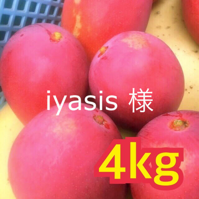 宮崎県産 完熟マンゴー 自家用 4kg 食品/飲料/酒の食品(フルーツ)の商品写真