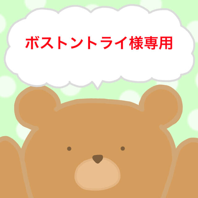 ボストントライ様専用 4/9 【セール 登場から人気沸騰】 www.gold-and