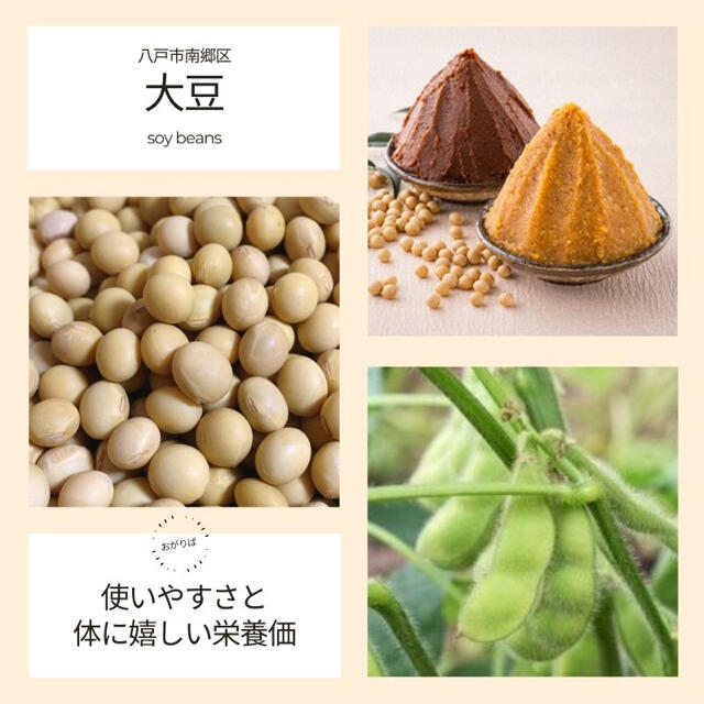 【農薬・化学肥料不使用】乾燥豆セット 7品種 700g(各100g) 青森県産 食品/飲料/酒の食品(野菜)の商品写真