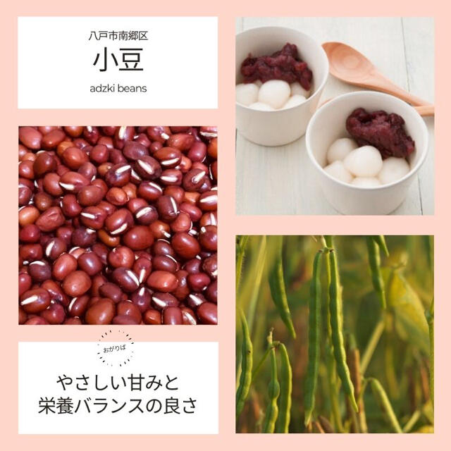 【農薬・化学肥料不使用】乾燥豆セット 7品種 700g(各100g) 青森県産 食品/飲料/酒の食品(野菜)の商品写真