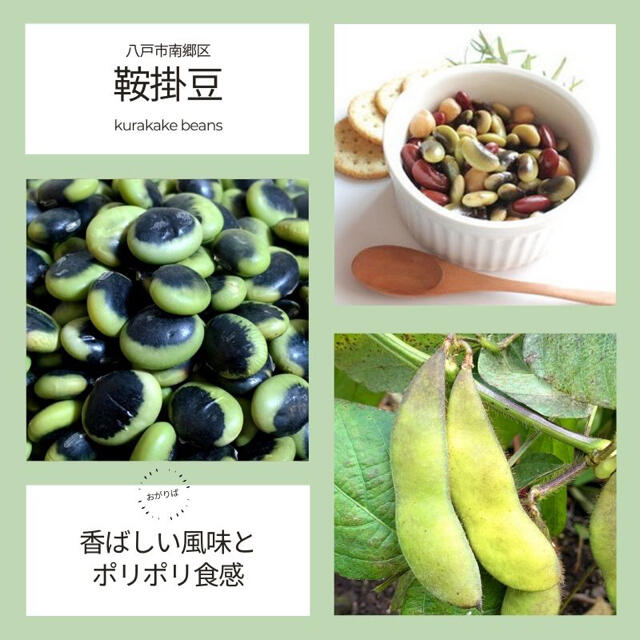 【農薬・化学肥料不使用】乾燥豆セット 7品種 700g(各100g) 青森県産 食品/飲料/酒の食品(野菜)の商品写真