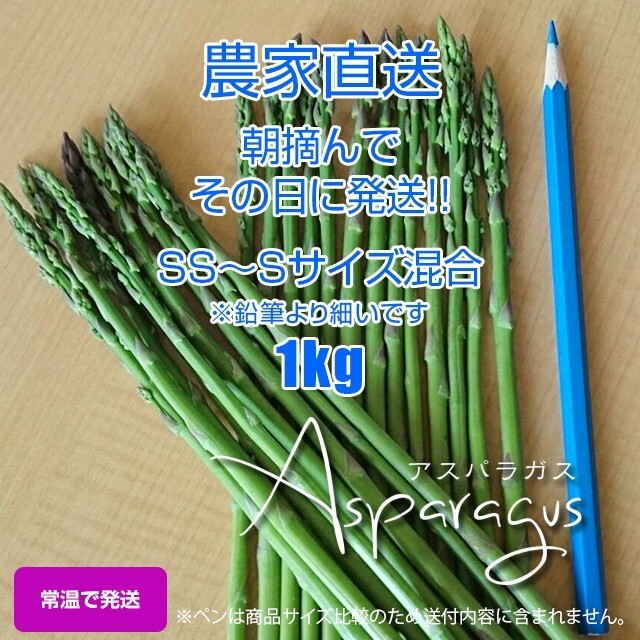 細アスパラ 1kg 食品/飲料/酒の食品(野菜)の商品写真