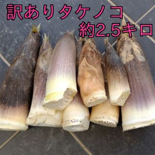 無農薬野菜 野菜  タケノコ  竹の子  筍  たけのこ  傷あり  訳あり(野菜)