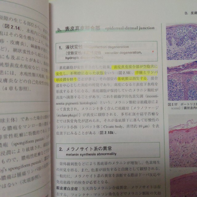 (くま様専用) あたらしい皮膚科学 第２版 エンタメ/ホビーの本(健康/医学)の商品写真