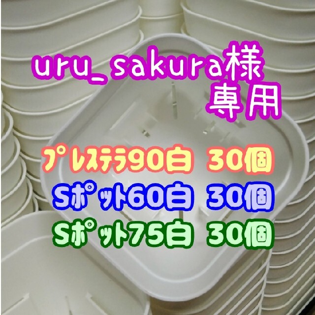 【スリット鉢】プレステラ90白30個 他 多肉植物 プラ鉢 ハンドメイドのフラワー/ガーデン(プランター)の商品写真