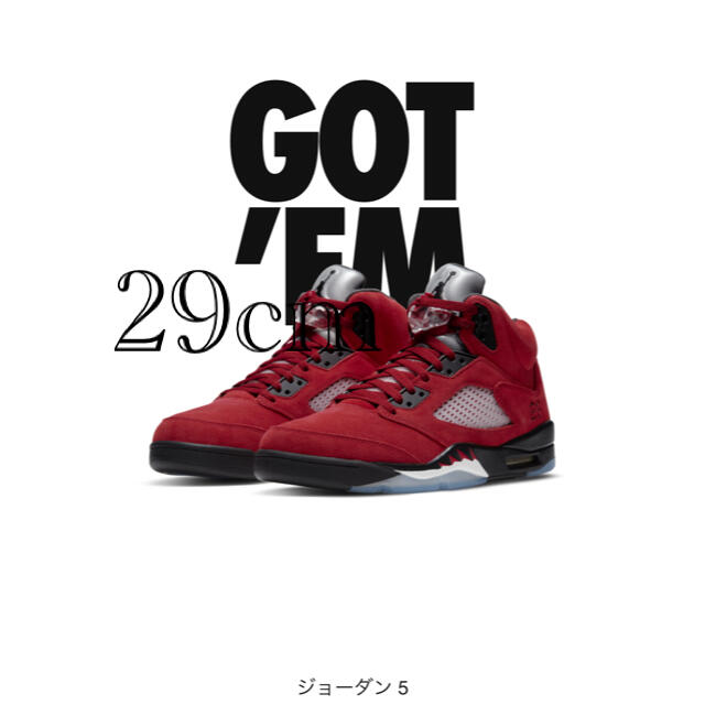 靴/シューズNIKE AIR JORDAN 5  エアジョーダン5      29cm