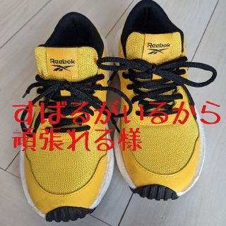 リーボック(Reebok)の【Reebok】レディーススニーカー　23.5cm(スニーカー)