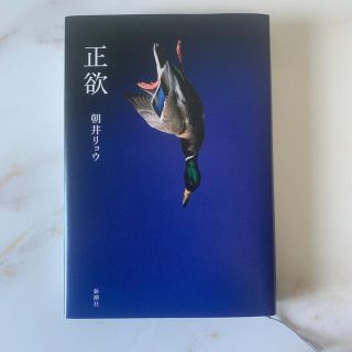 正欲(文学/小説)