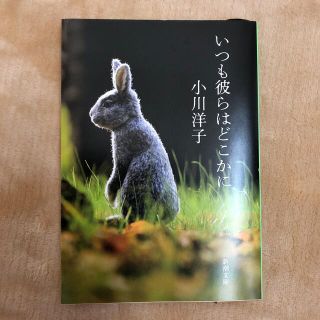 [美品]いつも彼らはどこかに(文学/小説)