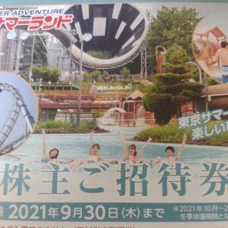 サマーランド 株主優待券 1セット(8枚)(遊園地/テーマパーク)