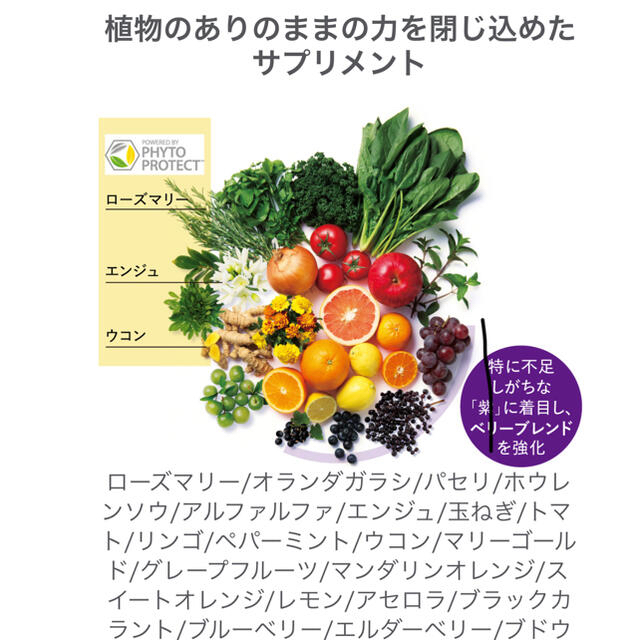 Amway(アムウェイ)のアムウェイ  トリプルX レフィル 食品/飲料/酒の健康食品(ビタミン)の商品写真