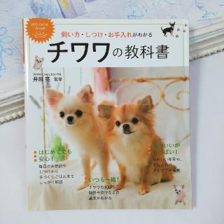 飼い方・しつけ・お手入れがわかるチワワの教科書 ＤＯＧ　ＣＡＲＥ　ＧＵＩＤＥ(住まい/暮らし/子育て)