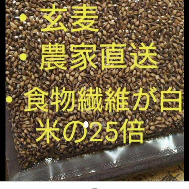 ダイシモチ玄麦500g今だけプラス150g増量中 食品/飲料/酒の食品(米/穀物)の商品写真