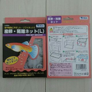 メダカ 熱帯魚 産卵 隔離ネットの通販 By レイ S Shop ラクマ メダカ 熱帯魚 産卵 隔離ネットの通販 By レイ S Shop ラクマ