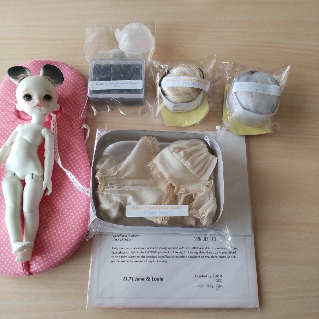imda1,7 Jane ハンドメイドのぬいぐるみ/人形(人形)の商品写真