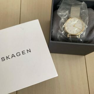 スカーゲン(SKAGEN)の腕時計(腕時計)