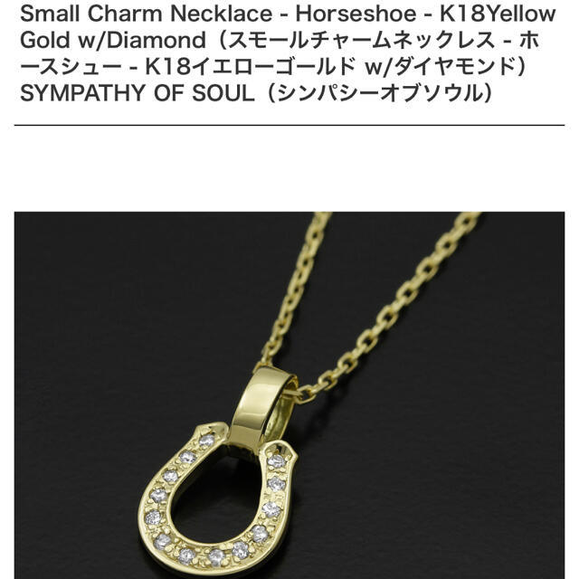 シンパシーオブソウル トップとチェーン ネックレス シンパシーオブソウル トップとチェーン ネックレス