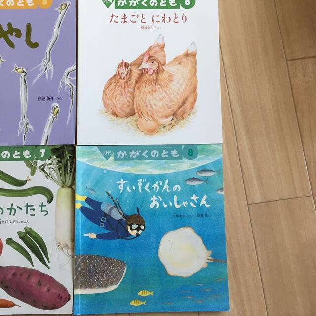 月刊 かがくのとも(6冊セット) エンタメ/ホビーの本(絵本/児童書)の商品写真