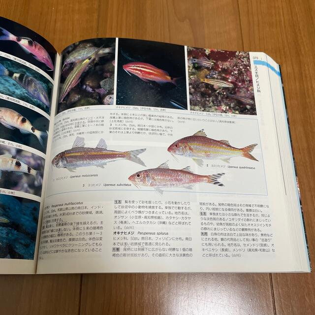 山渓カラー名鑑 日本の海水魚の通販 By Mr 反抗期 S Shop ラクマ