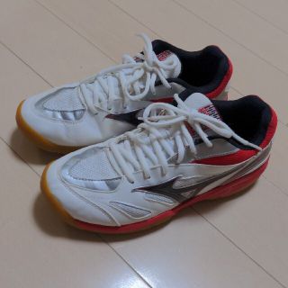 ミズノ(MIZUNO)のMIZUNO室内運動靴 体育館上履(スニーカー)