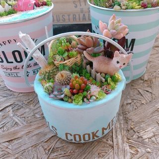 多肉植物 寄せ植え  即購入OK！(その他)