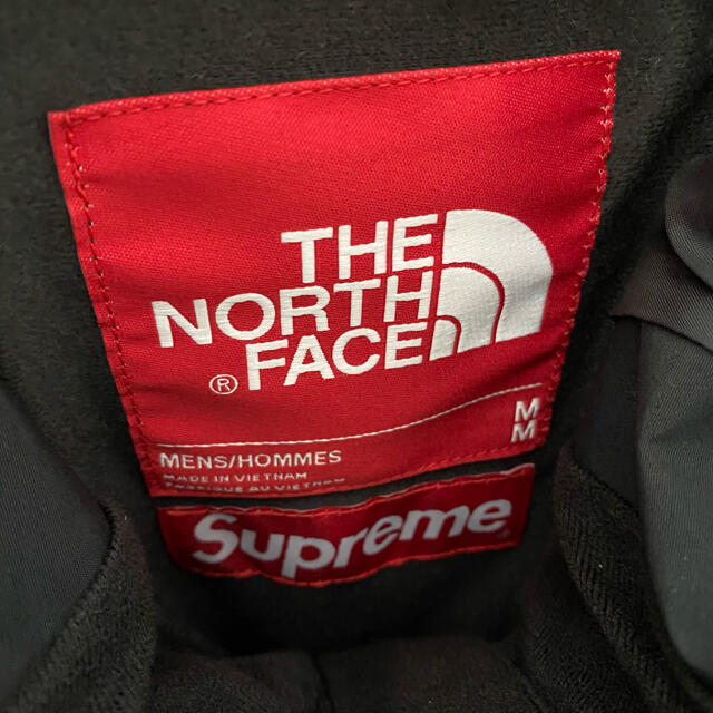 Supreme(シュプリーム)のsupreme north face mountain parka メンズのジャケット/アウター(マウンテンパーカー)の商品写真