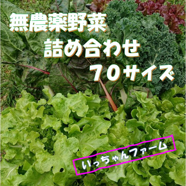 安全・安心野菜　野菜詰め合わせ　７０サイズ　４月１７日～１８日発送　 食品/飲料/酒の食品(野菜)の商品写真