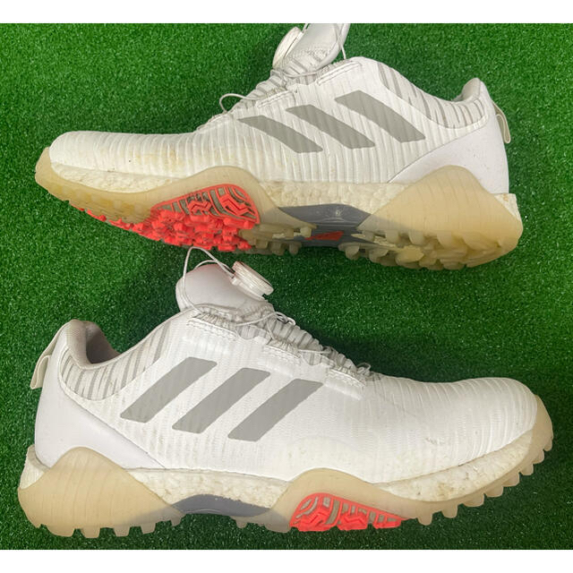 adidas(アディダス)のadidas パワーバンド ボア ゴルフシューズ スポーツ/アウトドアのゴルフ(シューズ)の商品写真