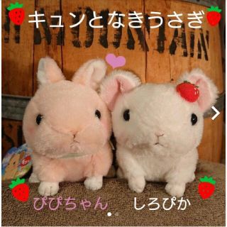 キュンとなきうさぎ うさぎ ぬいぐるみ しろぴかの通販 3点 フリマアプリ ラクマ