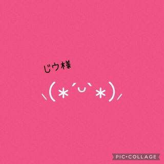 ☆じウ様専用☆　(その他)