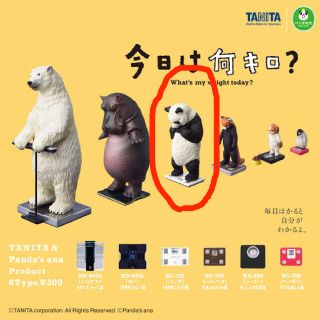 タカラトミー(Takara Tomy)の今日は何キロ？　パンダ　ガチャ(その他)