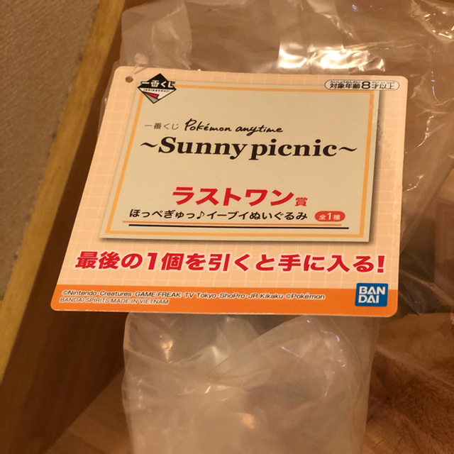 ポケモン　一番くじ　〜Sunny picnic〜