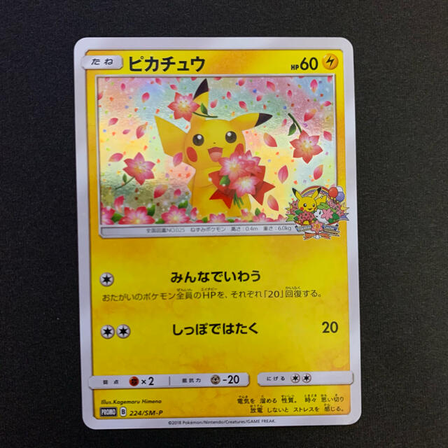 ポケモンカード みんなでいわうピカチュウ PSA10PSA10PSAケース