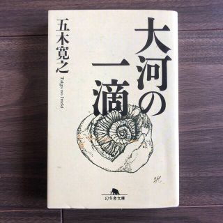 大河の一滴(文学/小説)