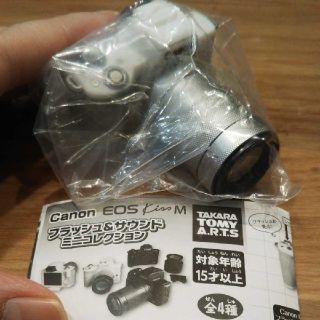 まむ様専用です♡【Canon】フラッシュ&サウンドミニコレクション(その他)