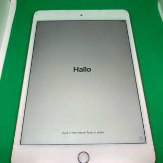 アイパッド(iPad)のiPad mini (5th/2019) 64GB Wi-fi ゴールド セット(タブレット)