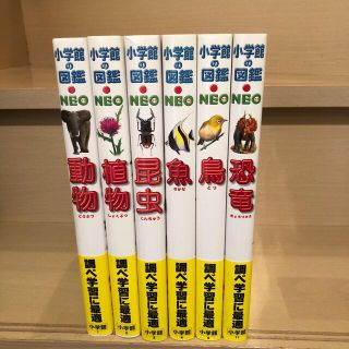 ショウガクカン(小学館)の小学館の図鑑NEO 昆虫　植物　魚　鳥　恐竜　動物(絵本/児童書)