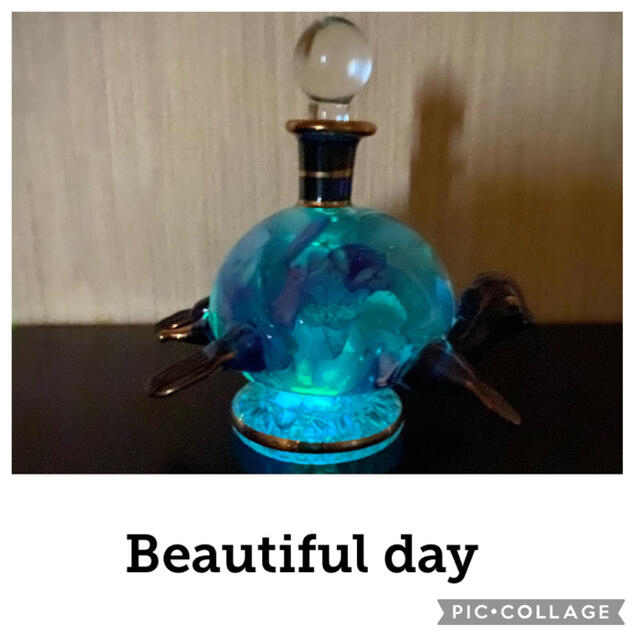 【美麗】〜❄︎エジプシャン瓶❄︎〜♡癒しの幻想ハーバリウム♡全体蓄光 Blue